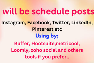 schedule posts via buffer, loomly, later, hootsuite etc