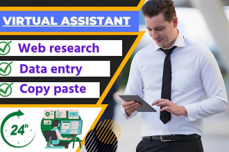 do data entry, copy paste, web research, virtual assistant, data mining,