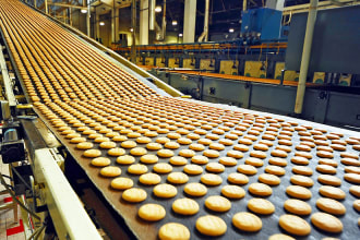 formulate your industrial food , any food product