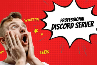 professionally setup a new or existing discord server