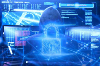 do a security test of your application or website