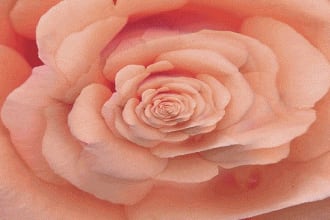 provide a professional channeled psychic reading