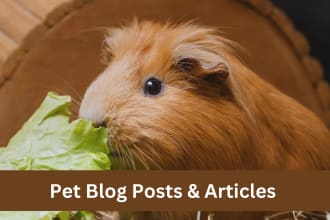 write seo pet blog posts and articles for you