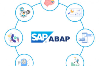 provide remote support for sap abap and s4hana development