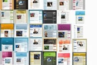 give you 12 niche websites kit with 12 websites ready to go
