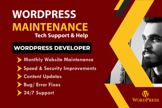 provide wordpress website maintenance and wordpress support or help
