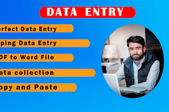 do web research and data entry in 24 hours