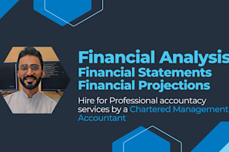 do financial projections, analysis, accounting and statements