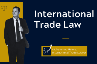 be your international trade lawyer