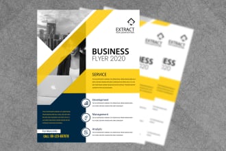 do pro business flyer or brochure design within 6 hrs