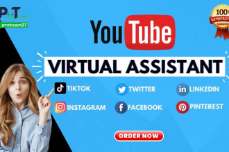 be your professional youtube virtual assistant