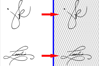 remove your  signatures and images backgrounds within 20 hrs