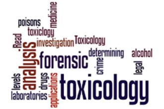 provide toxicological risk assessment, pde, oel, ctd, nco, ti, te, mos