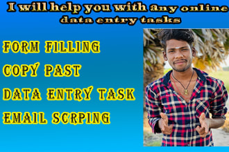 online data entry task, copy past, typing, form filling