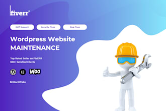 provide monthly wordpress website maintenance and support
