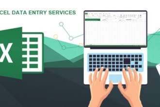 do data entry, document typing, convert pdf to excel or word