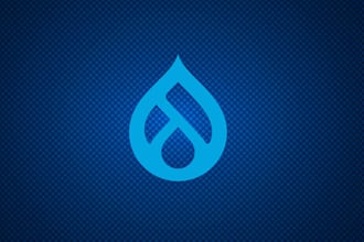 fix your drupal issues and bugs