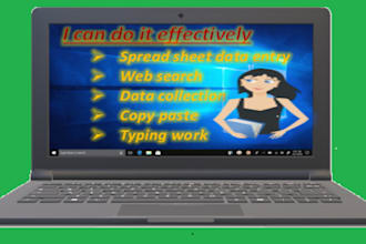 do data entry copy paste job