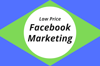 provide facebook marketing service at a low price