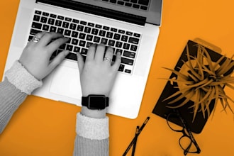 write 1500 words SEO blog posts and articles within 24 hours