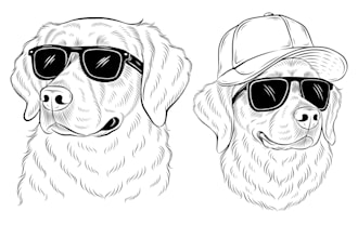 draw vector line art dog or pet portraits