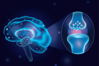 design all medical, and scientific illustrations, figures, and diagrams