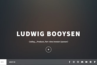 build a professional website