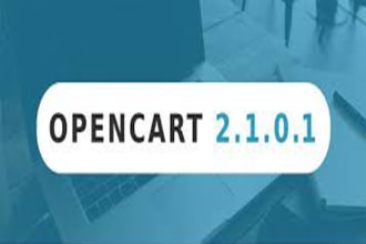 fix your opencart bug site