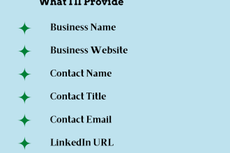 find ecommerce leads and do perfect data entry