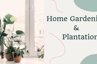 catchy articles and blogs on home gardening in 24 hours