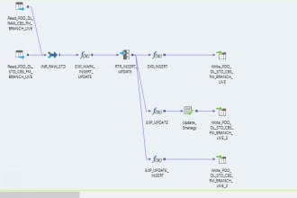 do any informatica development for you  from mapping to workflows