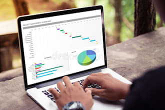 offer financial analysis, ratio analysis, and accounting