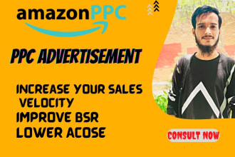 setup, manage and optimize your amazon PPC campaign