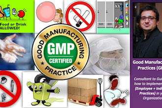 be consultant, auditor, implementer of cgmp for your company