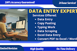 do accurate data entry, copy paste, typing, web scraping and PDF to excel