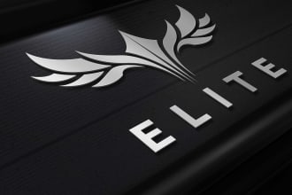 create a professional stylized and unique logo design
