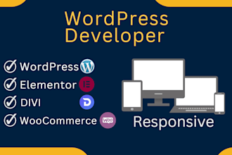 be wordpress developer for your ecommerce wesite