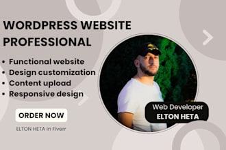 build wordpress website professional