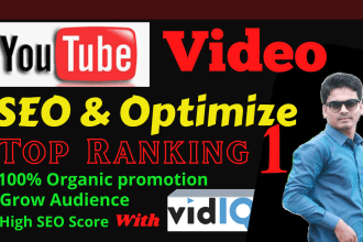 seo youtube video with vidiq perfectly