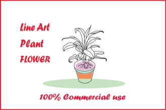 draw botanical  plants flower line art illustrations