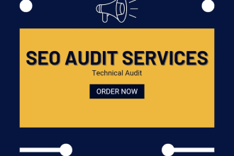 do an SEO audit report for your website instant