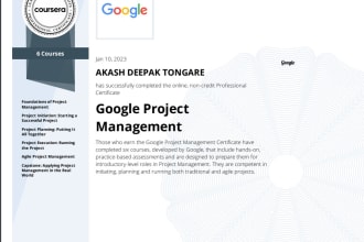 be your project manager