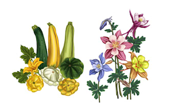 paint vegetables, fruits, flowers and plants illustrations