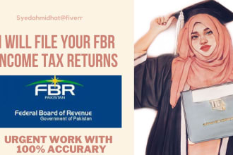 file your fbr income tax returns