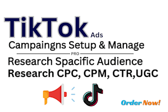 setup and manage run tiktok ads, tiktok ads campaigns, tiktok advertising
