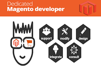 do any magento customization and management