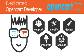 do any opencart customization and management