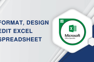 do ms excel data entry, copy paste and convert PDF