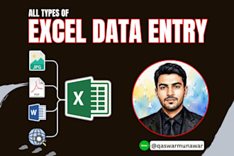 do excel and google sheets data entry