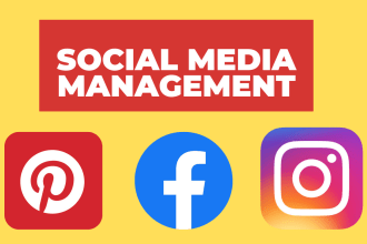 setup optimize  all social media accounts and business pages
